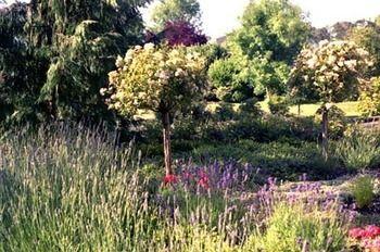 Bed and breakfast Fairholme Manor 5*