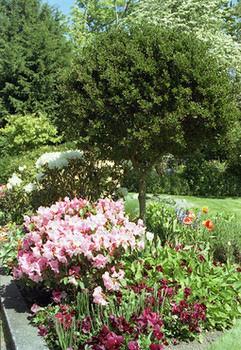 Fairholme Manor 5*